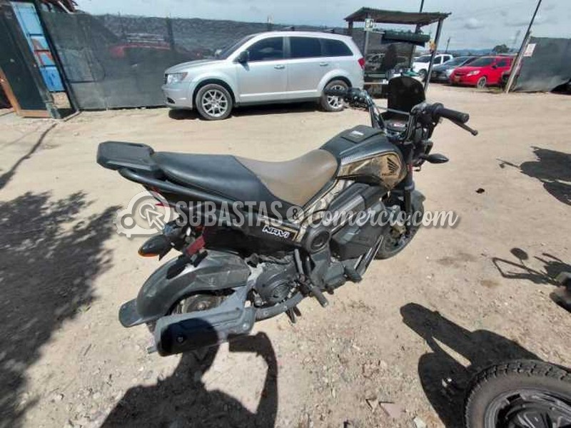 WhatsApp Image 2025-11-27 at 11.09.14 AM.jpg